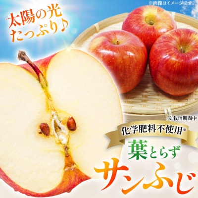 りんご【先行受付】葉とらず サンふじ 約3kg カワムラファーム 家庭用|24_kmf-010301