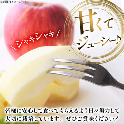 りんご【先行受付】葉とらず サンふじ 約3kg カワムラファーム 家庭用|24_kmf-010301