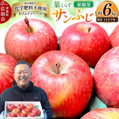 りんご 葉とらず サンふじ【家庭用】約6kg 先行受付|24_kmf-010601