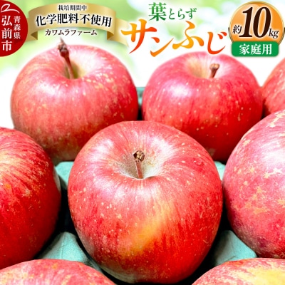 りんご【先行受付】葉とらず サンふじ 約10kg カワムラファーム家庭用|24_kmf-011001