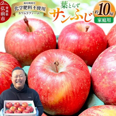 りんご 葉とらず サンふじ 約10kg カワムラファーム家庭用|24_kmf-011001