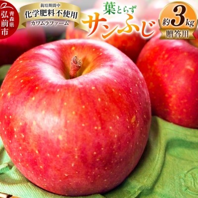 りんご 葉とらず サンふじ 約3kg カワムラファーム 贈答用|24_kmf-020301