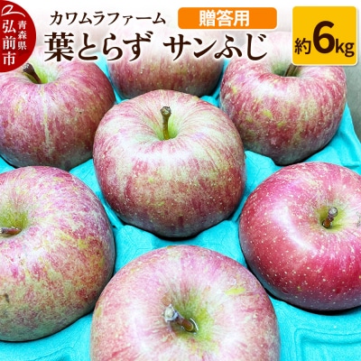 りんご【先行受付】葉とらず サンふじ 約6kg カワムラファーム 贈答用|24_kmf-020601