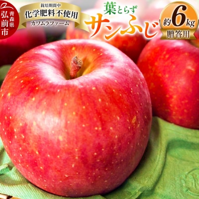 りんご 葉とらず サンふじ 約6kg カワムラファーム 贈答用|24_kmf-020601