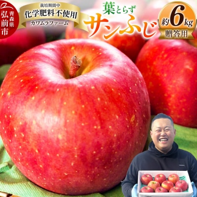 りんご 葉とらず サンふじ 約6kg カワムラファーム 贈答用|24_kmf-020601