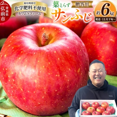 りんご 葉とらず サンふじ【贈答用】約6kg 先行受付|24_kmf-020601