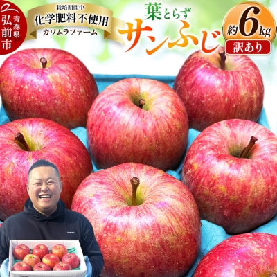 りんご 葉とらず サンふじ 約6kg カワムラファーム 訳あり|24_kmf-030601