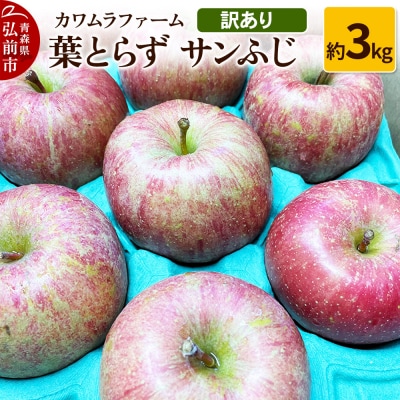 りんご【先行受付】葉とらず サンふじ 約3kg カワムラファーム 訳あり|24_kmf-030301