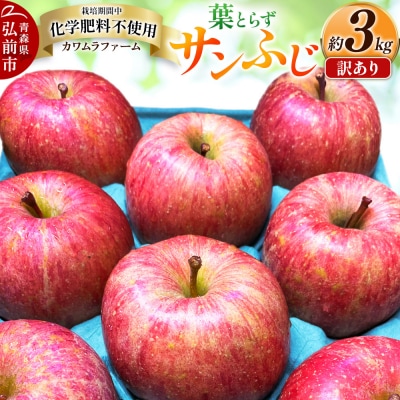 りんご【先行受付】葉とらず サンふじ 約3kg カワムラファーム 訳あり|24_kmf-030301