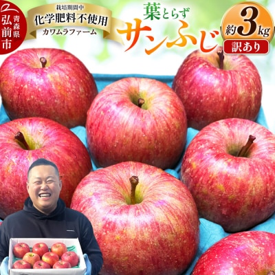りんご 葉とらず サンふじ 約3kg カワムラファーム 訳あり|24_kmf-030301