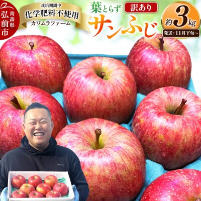 りんご 葉とらず サンふじ【訳あり】約3kg 先行受付|24_kmf-030301