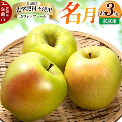 りんご【先行受付】名月 約3kg カワムラファーム 家庭用|24_kmf-040301