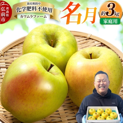 りんご 【26年10月下旬～発送】名月【家庭用】約3kg|24_kmf-040301