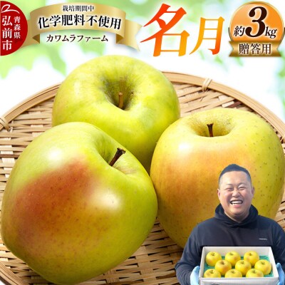 りんご 【26年10月下旬～発送】名月【贈答用】約3kg|24_kmf-050301