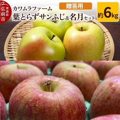 りんご【先行受付】葉とらず サンふじ & 名月 セット 約6kg 贈答用|24_kmf-080601