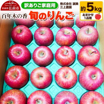りんご【訳あり】 三上農園 旬のりんご 約5kg 品種おまかせ1品種|24_mkn-020301