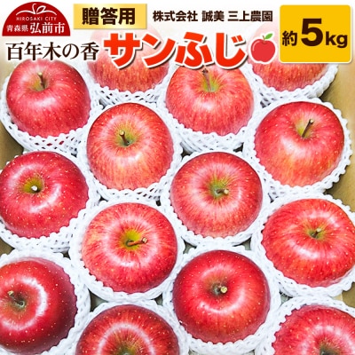 りんご 贈答用 百年木の香 三上農園 サンふじ 約5kg|24_mkn-030501