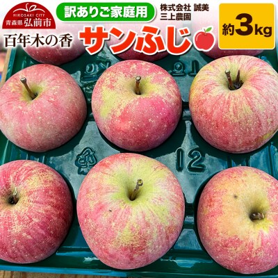りんご 【訳あり】家庭用 百年木の香 三上農園 サンふじ 約3kg|24_mkn-040301