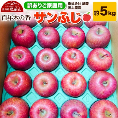 りんご 【訳あり】家庭用 百年木の香 三上農園 サンふじ 約5kg|24_mkn-040501