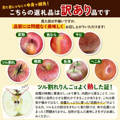 りんご 【訳あり】家庭用 百年木の香 三上農園 サンふじ 約5kg|24_mkn-040501