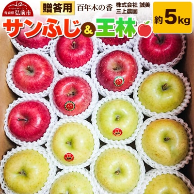  p SN؂̍ O_ Tӂ& 5kg|24_mkn-050501