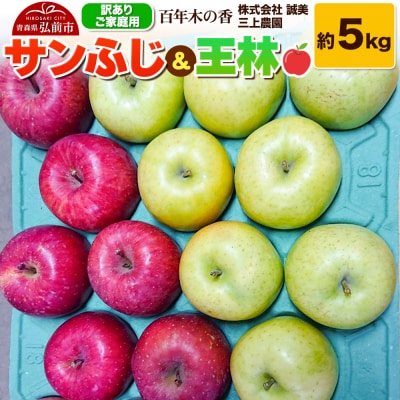 りんご 【訳あり】家庭用 三上農園 サンふじ & 王林 約5kg|24_mkn-060501