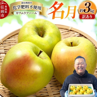 りんご 【26年10月下旬～発送】名月【訳あり】約3kg|24_kmf-060301