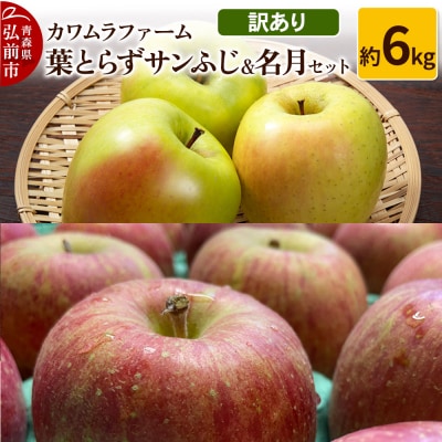 りんご【先行受付】葉とらず サンふじ & 名月 セット 約6kg 訳あり|24_kmf-090601