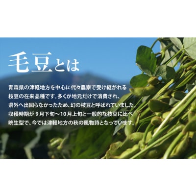 【朝採り直送 令和7年度】青森毛豆 約1.2kg 栗のような濃厚な枝豆|24_kns-011201