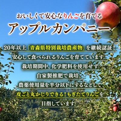 《定期便3ヶ月》りんごジュース ふじ1L×6本 無添加 ストレート果汁|24_apc-030603