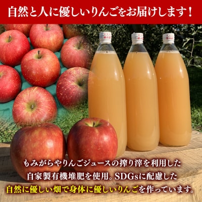 《定期便6ヶ月》りんごジュース ふじ1L×6本 無添加 ストレート果汁|24_apc-030606