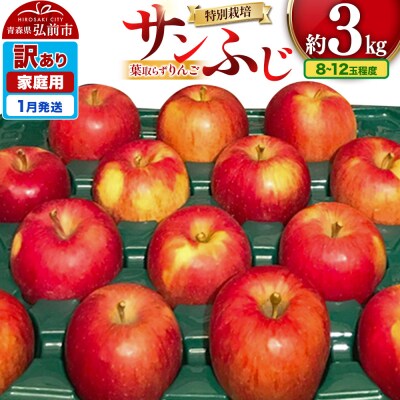 りんご 訳あり家庭用【年明け発送】葉取らず サンふじ 約3kg|24_apc-070301b