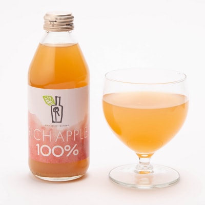 【定期便3ヶ月】RICH APPLE飲み比べ りんごジュース12本セット|24_gnk-031203