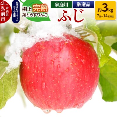 りんご ふじ 約3kg(7玉～14玉程度)樹上完熟葉とらず【家庭用】|24_hrd-010301