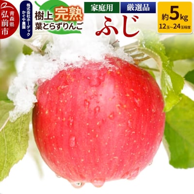 りんご ふじ 約5kg(12玉～24玉程度)樹上完熟葉とらず【家庭用】|24_hrd-010501