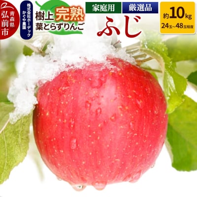 りんご ふじ 約10kg(24玉～48玉程度)樹上完熟葉とらず【家庭用】|24_hrd-011001