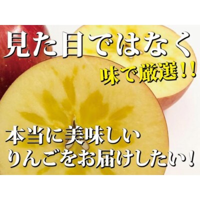 りんご ふじ 約10kg(24玉～48玉程度)樹上完熟葉とらず【家庭用】|24_hrd-011001