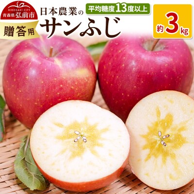 りんご  サンふじ 約3kg 贈答|24_nng-120301c
