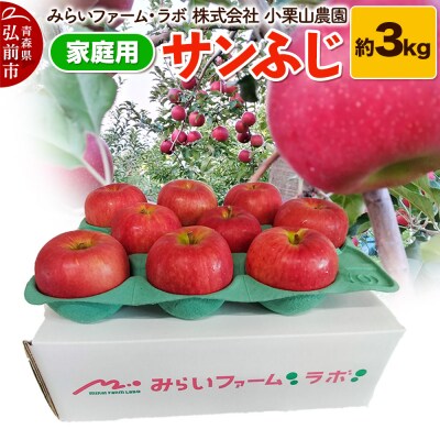 りんご【家庭用】サンふじ 約3kg|24_mlk-090301