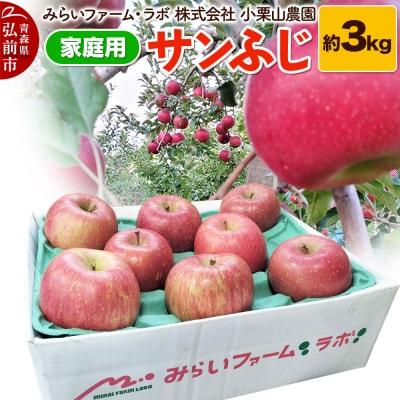 【25年12月発送】りんご【家庭用】サンふじ 約3kg|24_mlk-090301