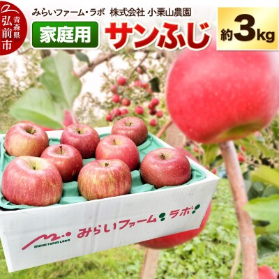 【26年12月発送】りんご【家庭用】サンふじ 約3kg|24_mlk-090301