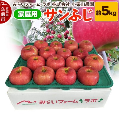 りんご【家庭用】サンふじ 約5kg|24_mlk-090501