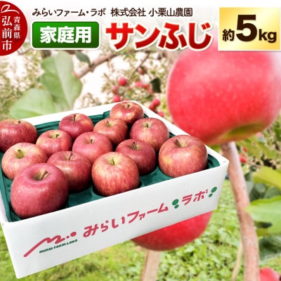 【26年12月発送】りんご【家庭用】サンふじ 約5kg|24_mlk-090501