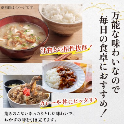 【定期便12ヶ月】【白米】青森県産 まっしぐら 10kg お米 新米|24_mmn-011012