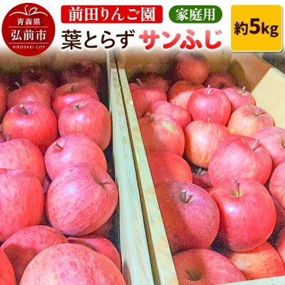 りんご 家庭用 葉とらず サンふじ 約 5kg (16～20玉程度) |24_mre-030501