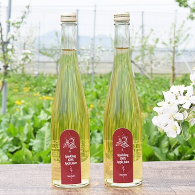 りんご贅沢しぼり 500ml×1 スパークリング500ml×2本 計3本|24_mrh-040301