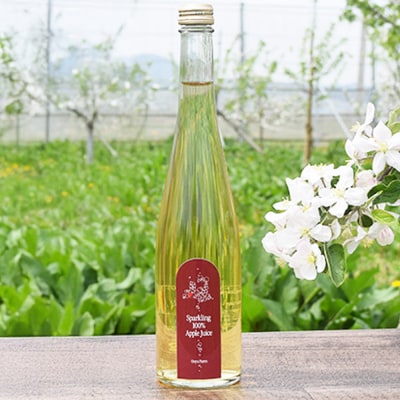 りんご贅沢しぼり 500ml×1 スパークリング500ml×1本 計2本|24_mrh-060201