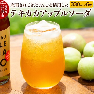 テキカカアップルソーダ 330ml×6本|24_mye-100601