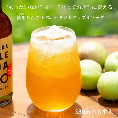 テキカカアップルソーダ 330ml×6本|24_mye-100601