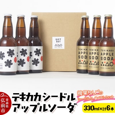 テキカカシードル & アップルソーダ 各330ml×3本 計6本|24_mye-110601